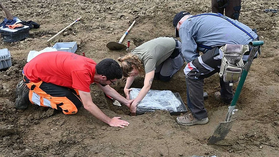 En Suisse, un trésor millénaire découvert dans un champ de carottes