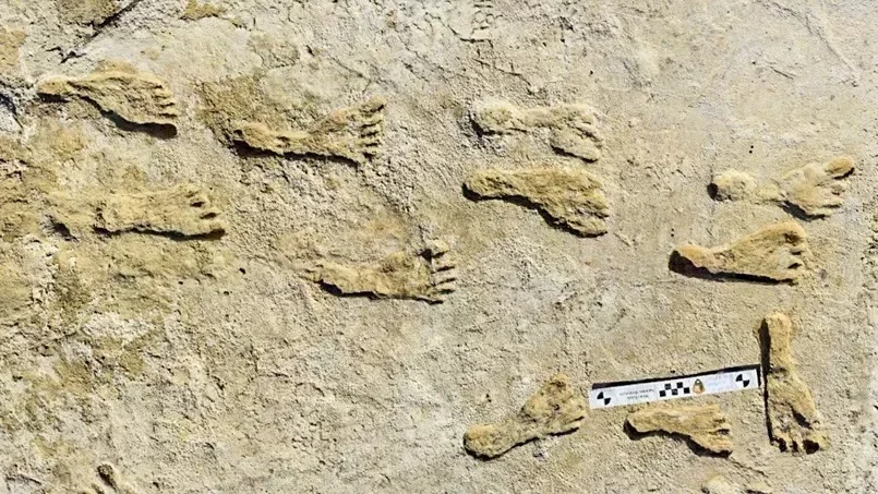 Photographie des empreintes humaines fossilisées étudiées par l'U.S. Geological Survey à White Sands, au Nouveau Mexique